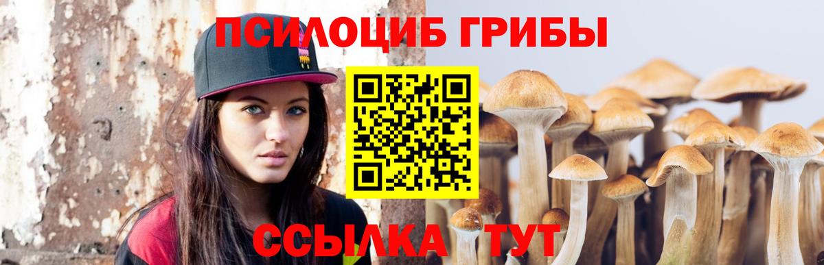 Галлюциногенные грибы мухоморы Заринск